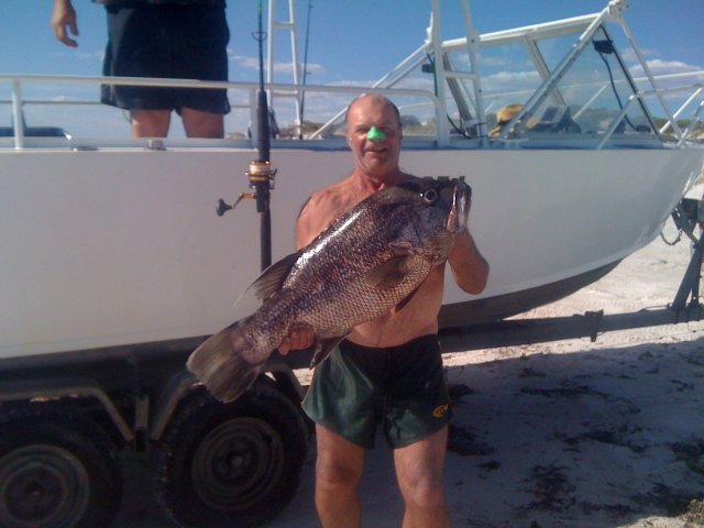 Wedge Island Dhufish